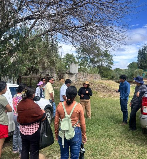 whatsapp image 2025 09 19 at 18.22.46 (1)