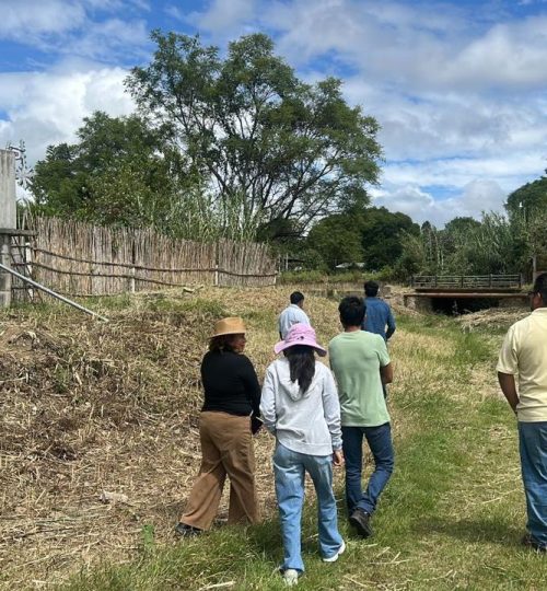 whatsapp image 2025 09 19 at 18.22.46 (2)