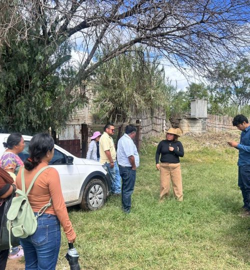 whatsapp image 2025 09 19 at 18.22.46 (4)