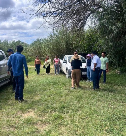 whatsapp image 2025 09 19 at 18.22.46 (7)