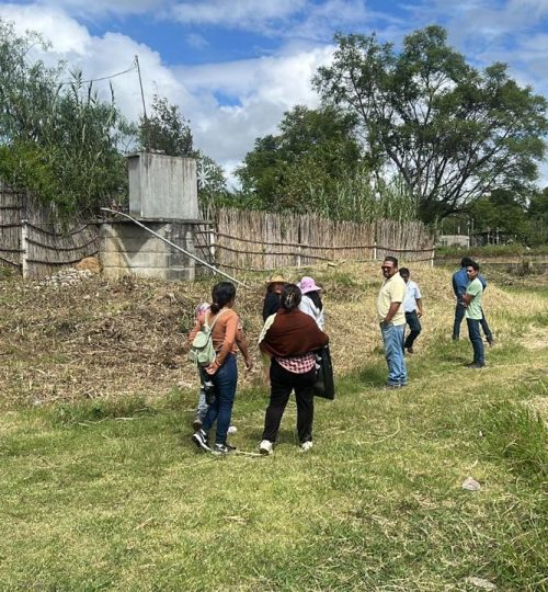 whatsapp image 2025 09 19 at 18.22.46 (8)