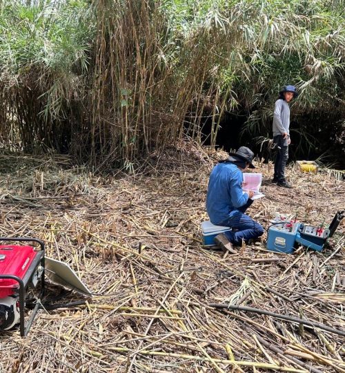 whatsapp image 2025 09 19 at 18.22.47 (1)