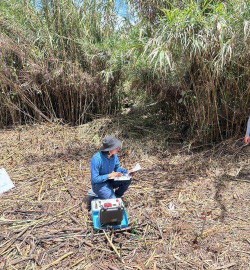 whatsapp image 2025 09 19 at 18.22.47 (2)