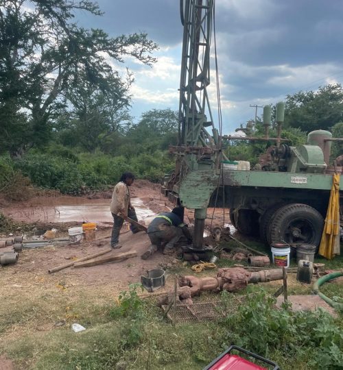 whatsapp image 2025 09 19 at 18.30.00 (1)