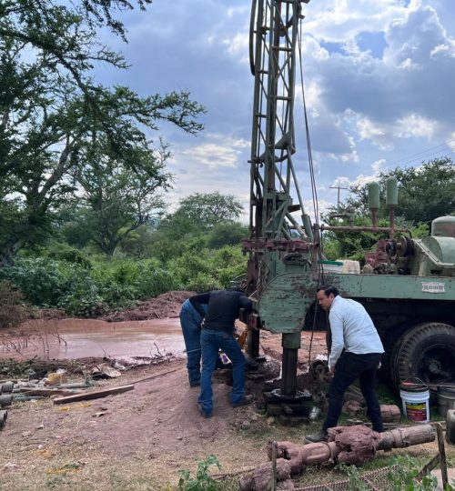 whatsapp image 2025 09 19 at 18.30.00 (10)